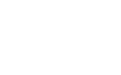 NYU Stern logo